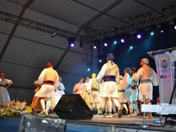 Festival de Folkore en Mula